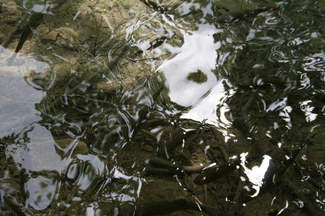 gal/cro 08/small-IMG_5596.JPG